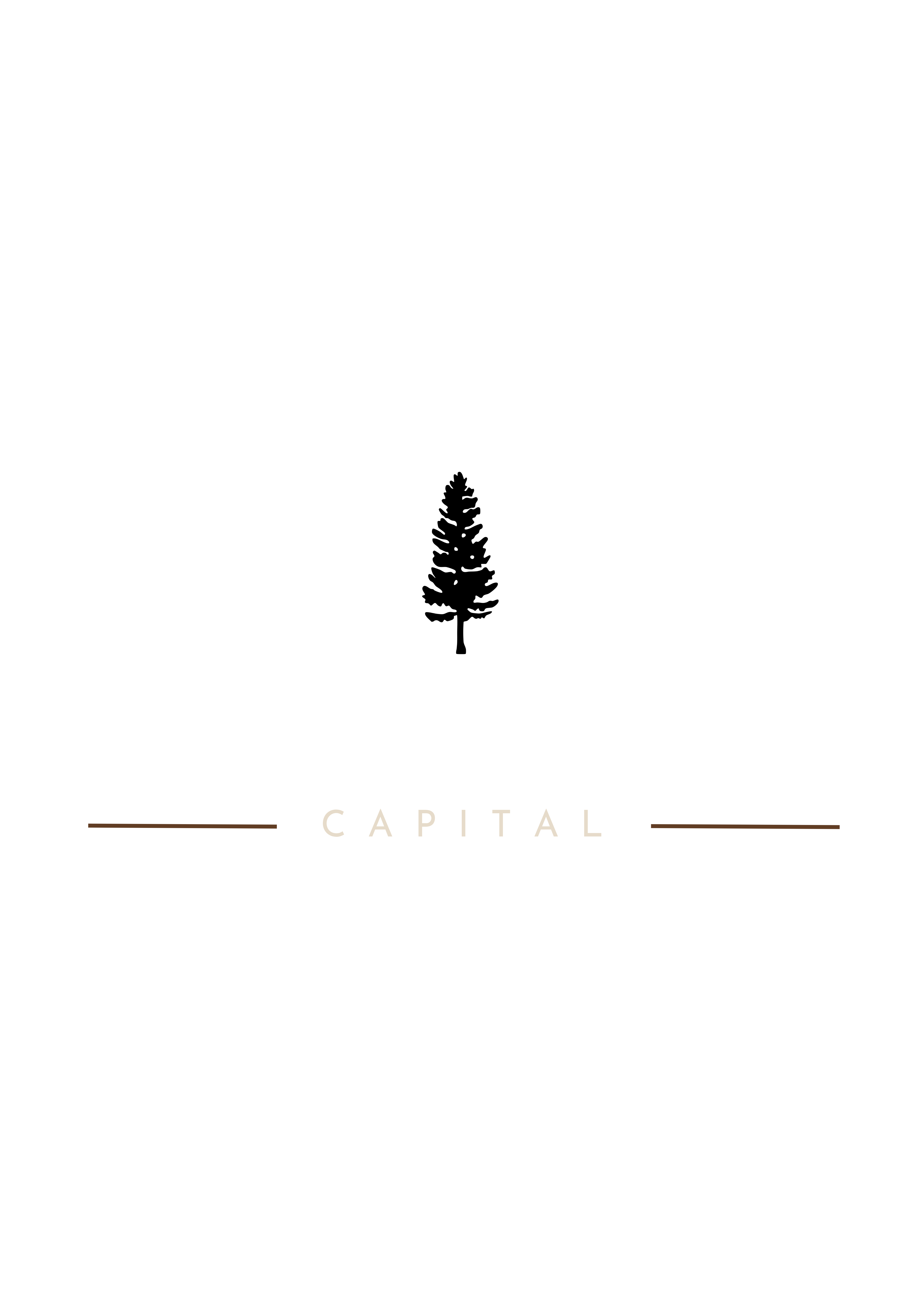 Little Tree Capital Logo — Light on Dark